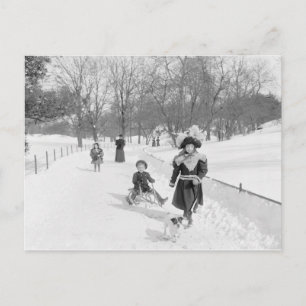 Winter in Central Park, 1900 Briefkaart