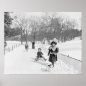 Winter in Central Park, 1900.  foto Poster (Voorkant)