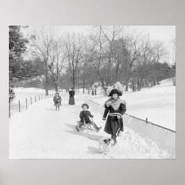 Winter in Central Park, 1900. Oude foto Poster