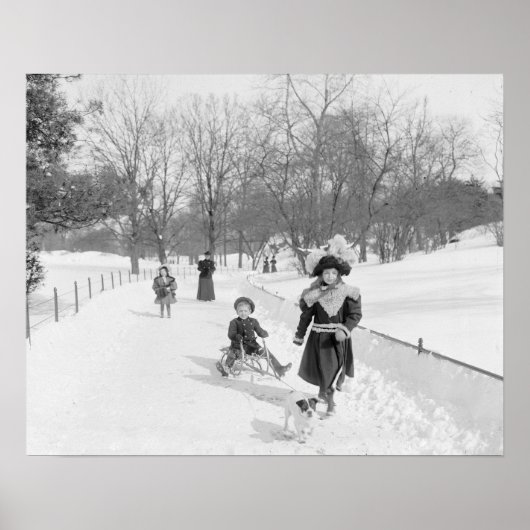 Winter in Central Park, 1900. Oude foto Poster (Voorkant)