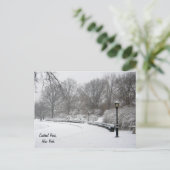 Winter in Central Park Briefkaart (Staand voorkant)