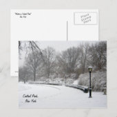 Winter in Central Park Briefkaart (Voorkant / Achterkant)