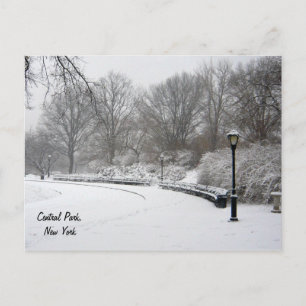 Winter in Central Park Briefkaart