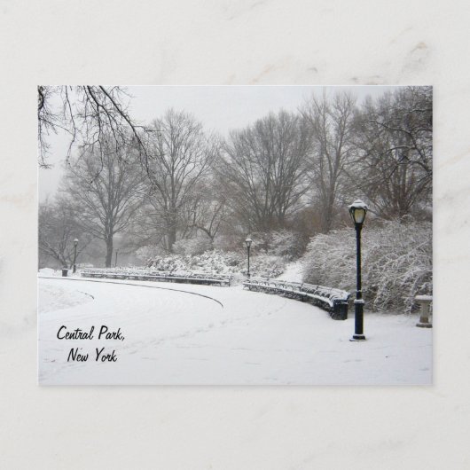 Winter in Central Park Briefkaart (Voorkant)