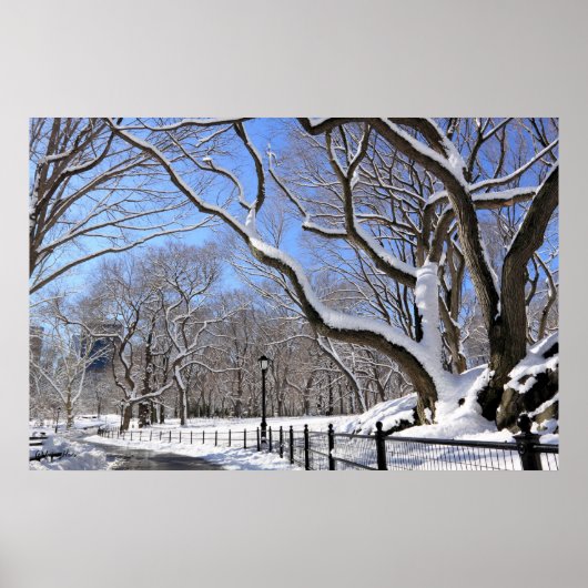 Winter in Central Park, New York City Poster (Voorkant)