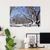 Winter in Central Park, New York City Poster (Thuiskantoor)