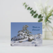 Winter in Colorado Briefkaart (Staand voorkant)