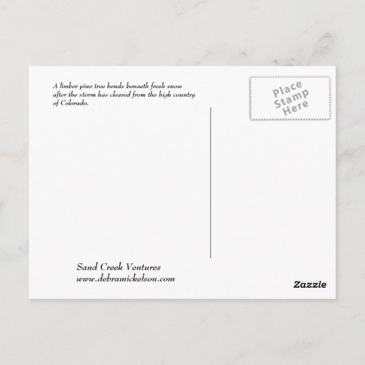 Winter in Colorado Briefkaart (Achterkant)