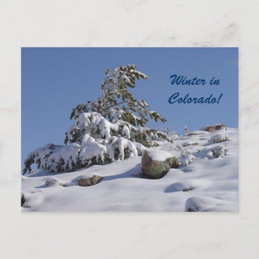 Winter in Colorado Briefkaart (Voorkant)