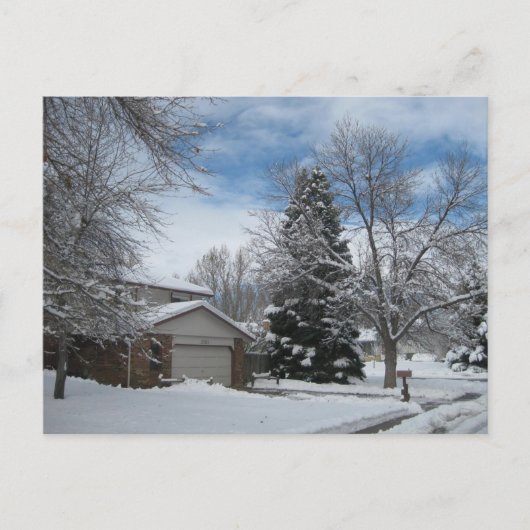 Winter in Colorado Briefkaart (Voorkant)