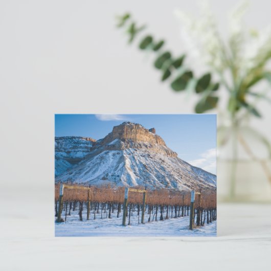 Winter in Colorado Wine Country Briefkaart (Staand voorkant)