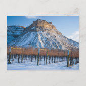 Winter in Colorado Wine Country Briefkaart (Voorkant)