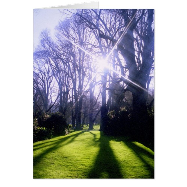 Winter in de Fitzroy-tuinen (Voorkant)