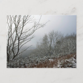 Winter in de Macclesfield Forest Card Briefkaart