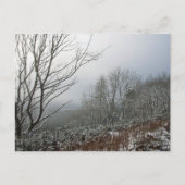 Winter in de Macclesfield Forest Card Briefkaart (Voorkant)