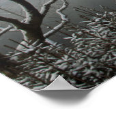 Winter in de Macclesfield Forest Card Poster (Hoek)