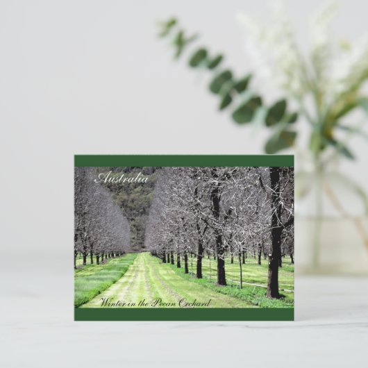 Winter in de Pecan Orchard Briefkaart (Staand voorkant)