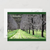 Winter in de Pecan Orchard Briefkaart (Voorkant / Achterkant)