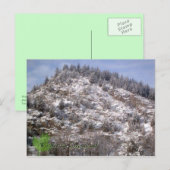 Winter in Greenwood Briefkaart (Voorkant / Achterkant)