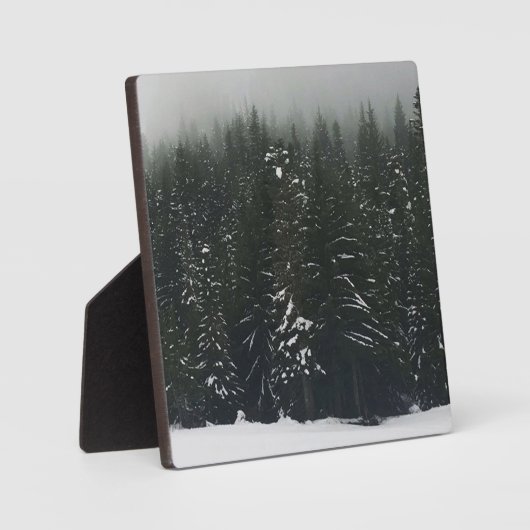 Winter in het bergbos fotoplaat (Voorkant)