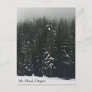 Winter in het bergbos, Oregon Briefkaart