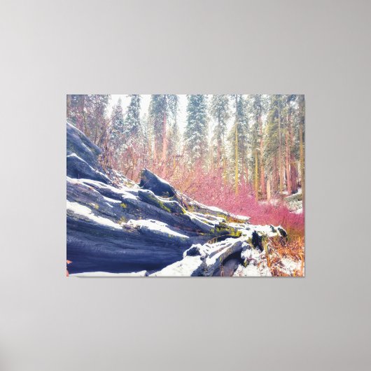 Winter in het bos canvas afdruk (Voorkant)
