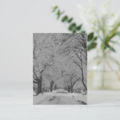 Winter in het Briefkaart Nebraska (Staand voorkant)