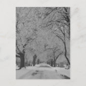 Winter in het Briefkaart Nebraska (Voorkant)