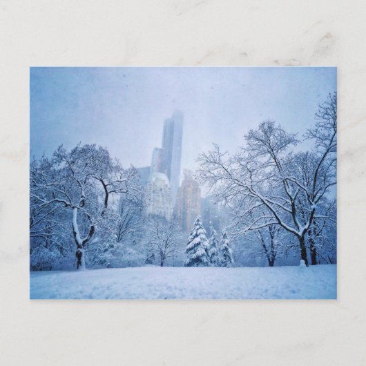 Winter in het centrale park van New York Briefkaart (Voorkant)
