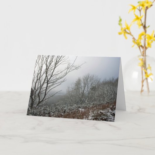 Winter in het Macclesfield Forest Kaart (Gele Bloem)