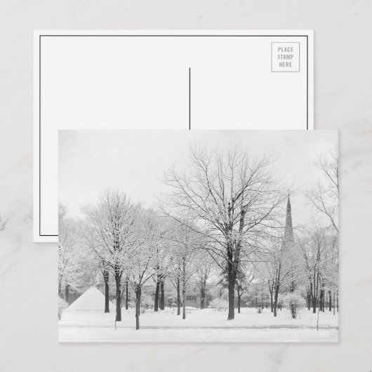 Winter in het park, 1915 briefkaart (Voorkant / Achterkant)