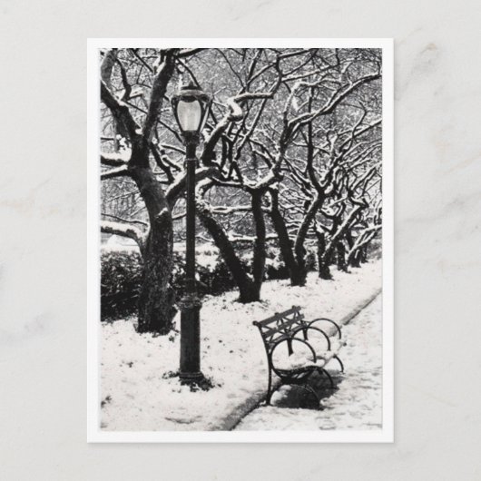 Winter in het park - Briefkaart (Voorkant)