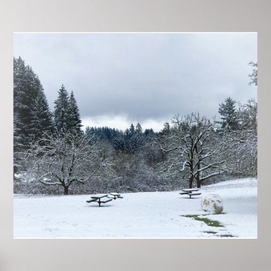 Winter in het Park, Wilsonville, OR Poster (Voorkant)