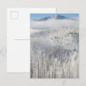 Winter in het Pike National Forest Briefkaart (Voorkant / Achterkant)