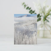 Winter in het Pike National Forest Briefkaart (Staand voorkant)