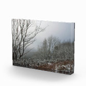 Winter in het Poster van de Macclesfield Forest Ca Fotoblokken (Rechts)