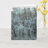 Winter in het staatsbos van Tillamook, Oregon Kaart (Gele Bloem)