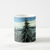 Winter in het staatsbos van Tillamook, Oregon Koffiemok (Center)