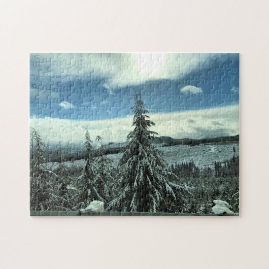 Winter in het staatsbos van Tillamook, Oregon Legpuzzel (Horizontaal)