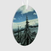 Winter in het staatsbos van Tillamook, Oregon Ornament (voorkant)