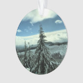 Winter in het staatsbos van Tillamook, Oregon Ornament (voorkant)