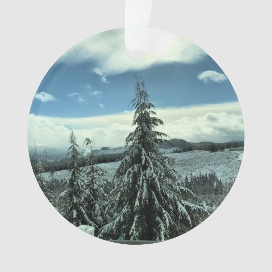 Winter in het staatsbos van Tillamook, Oregon Ornament (voorkant)