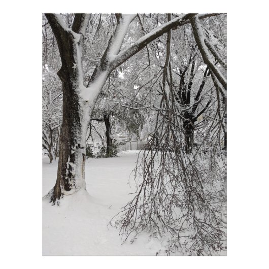 Winter in Lafayette Square, Washington, DC Foto Afdruk (Voorkant)