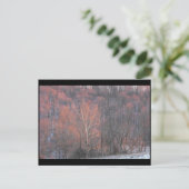 ~ Winter in Lancaster County ~ 10 Briefkaart (Staand voorkant)