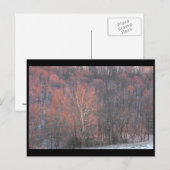 ~ Winter in Lancaster County ~ 10 Briefkaart (Voorkant / Achterkant)