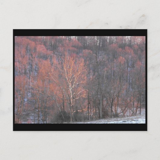 ~ Winter in Lancaster County ~ 10 Briefkaart (Voorkant)