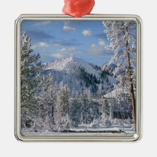 Winter in Nationaal Park Yellowstone, Wyoming Metalen Ornament