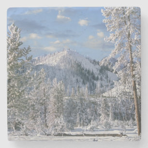 Winter in Nationaal park Yellowstone, Wyoming Stenen Onderzetter
