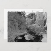 Winter in New England Briefkaart (Voorkant / Achterkant)