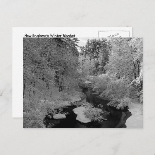 Winter in New England Briefkaart (Voorkant / Achterkant)